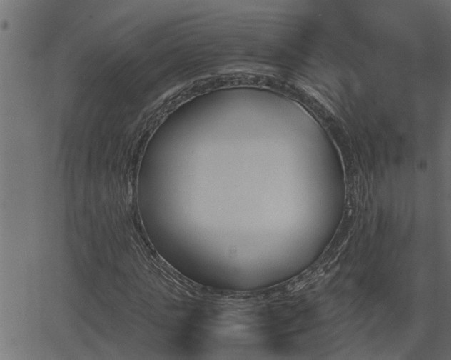 X0000062870821200601171419