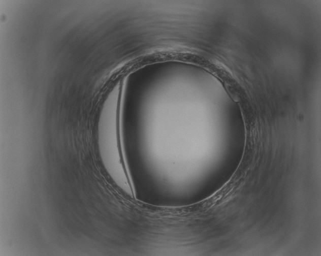 X0000062870822200601171419