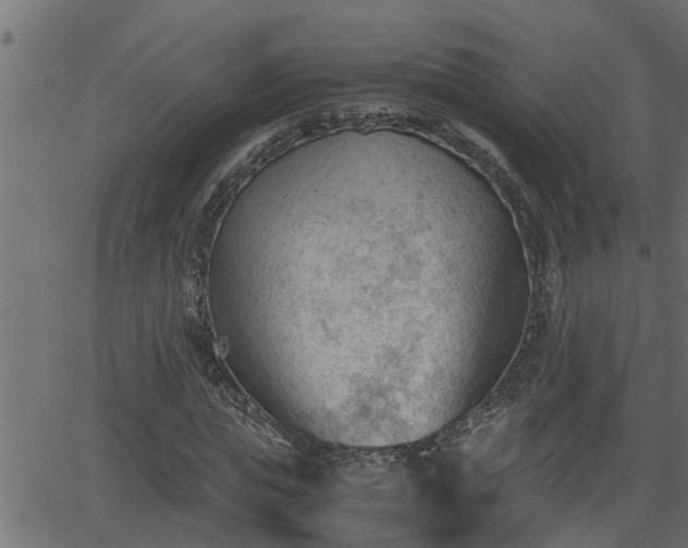 X0000062870823200601171419