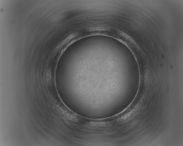 X0000062870825200601171419