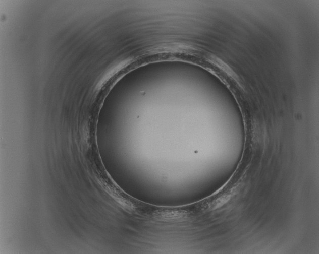 X0000062870826200601171419