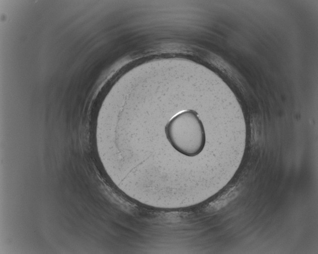 X0000062870828200601171419