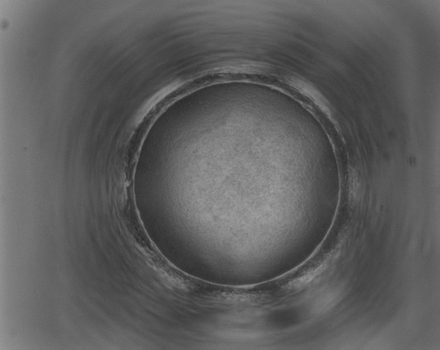 X0000062870829200601171419