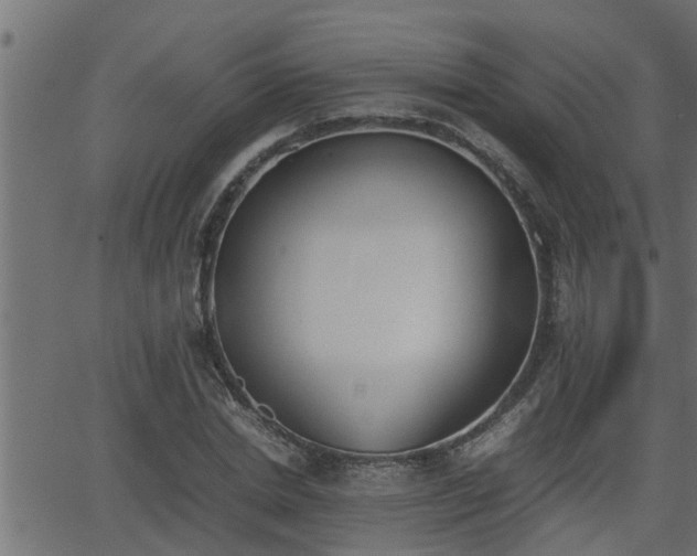 X0000062870830200601171419