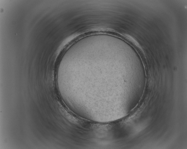 X0000062870831200601171419