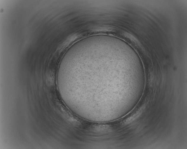 X0000062870833200601171419