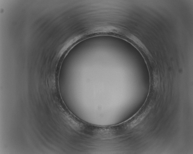 X0000062870834200601171419