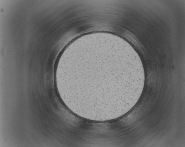 X0000062870836200601171419