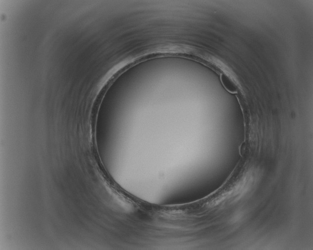 X0000062870837200601171419