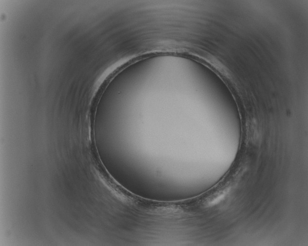 X0000062870838200601171419