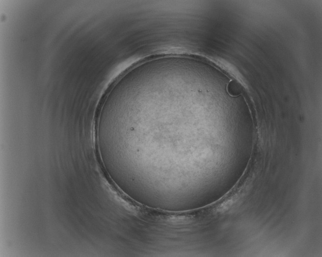 X0000062870839200601171419