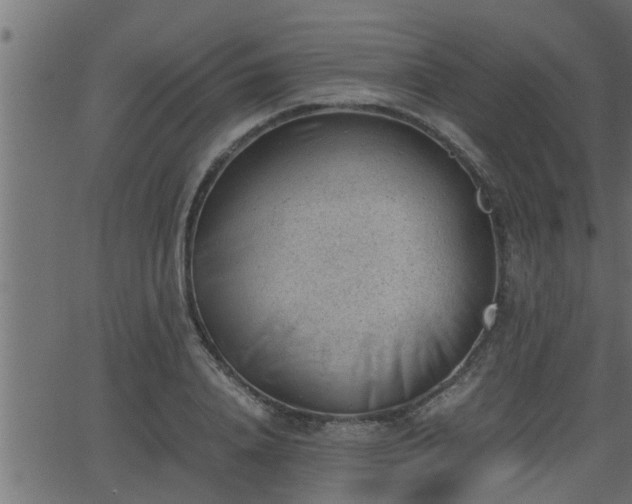 X0000062870840200601171419