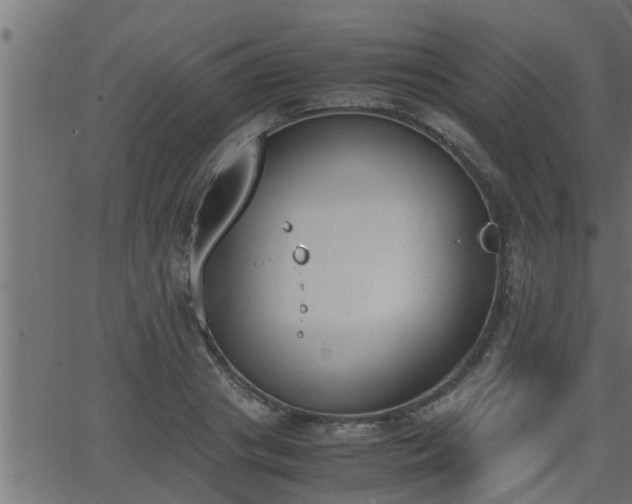 X0000062870841200601171419