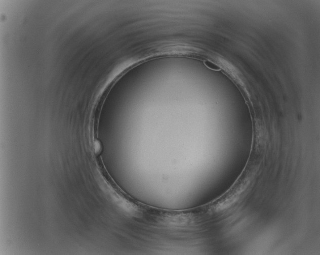 X0000062870843200601171419