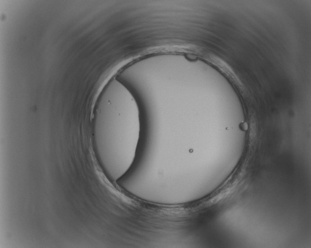 X0000062870844200601171419