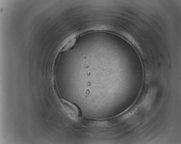 X0000062870845200601171419