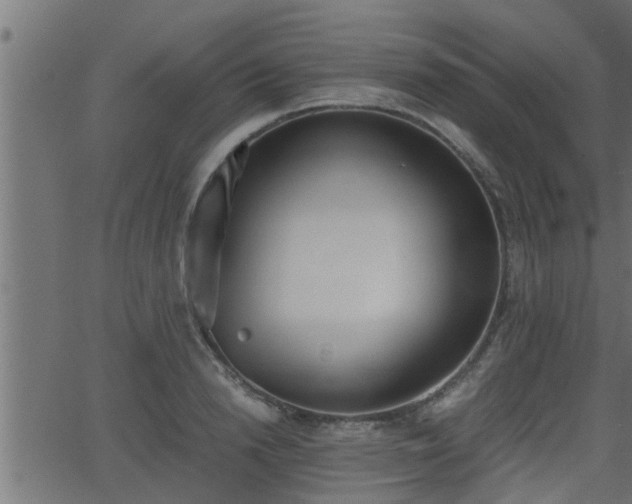 X0000062870846200601171419