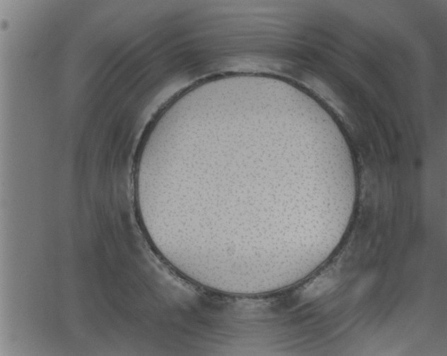 X0000062870848200601171419