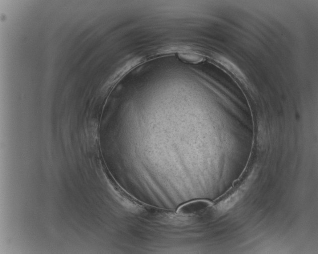 X0000062870849200601171419