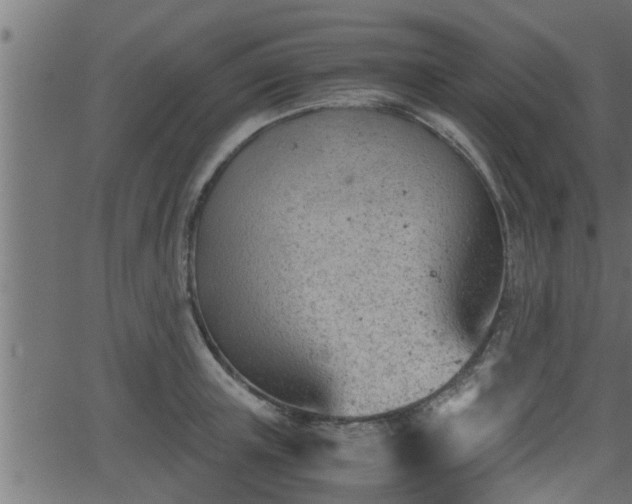 X0000062870851200601171419