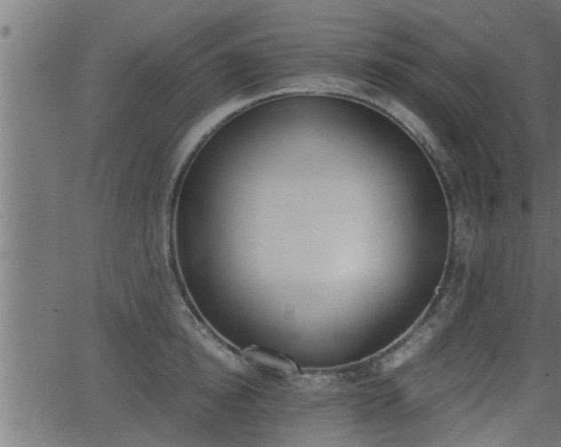 X0000062870854200601171419