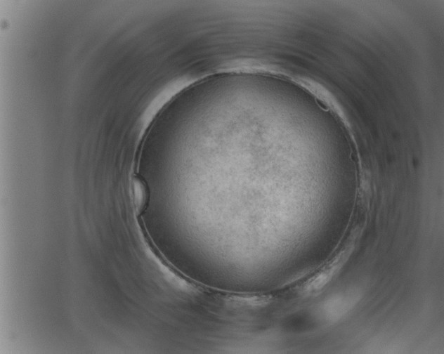 X0000062870855200601171419