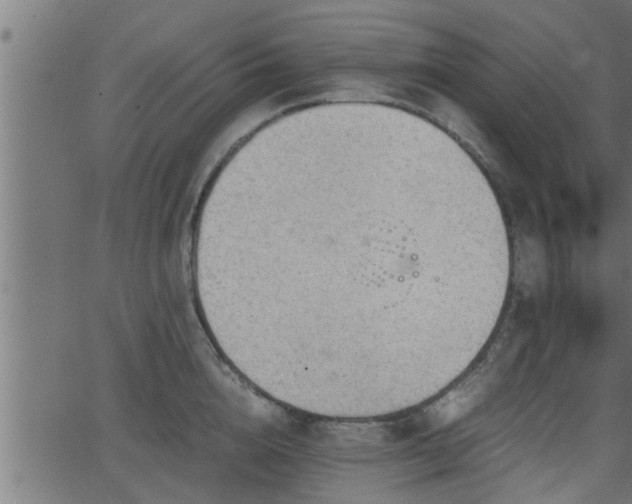 X0000062870856200601171419