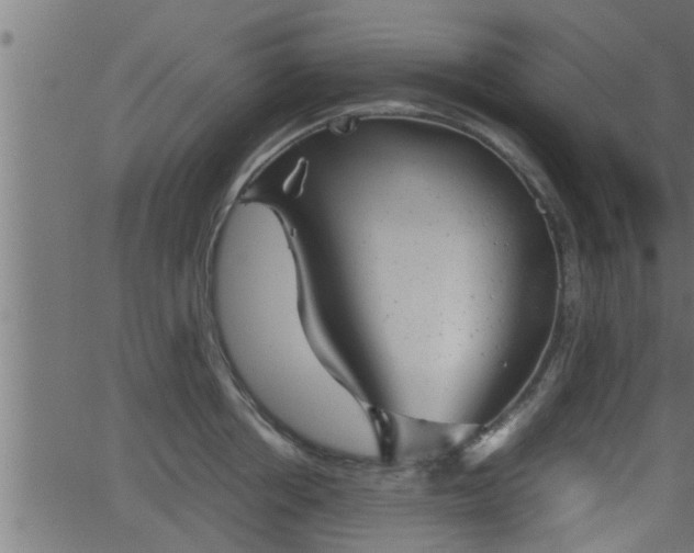 X0000062870858200601171419