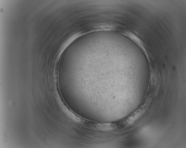 X0000062870859200601171419