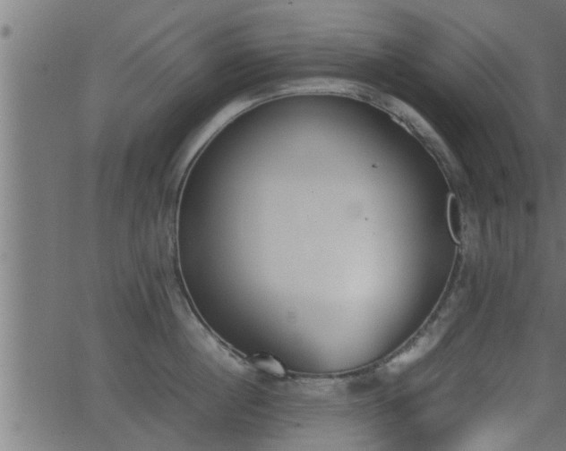 X0000062870860200601171419