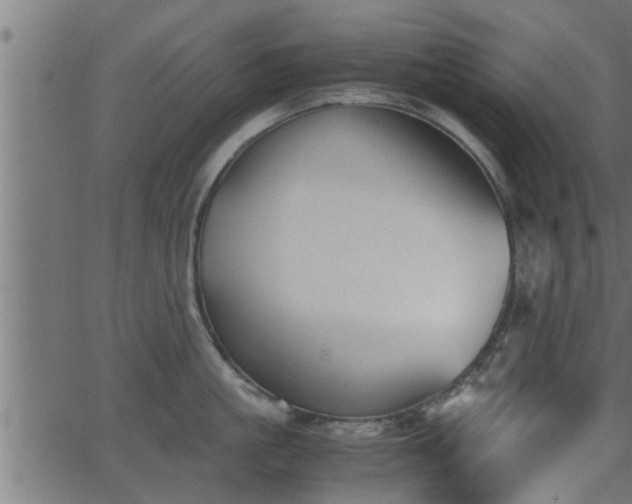 X0000062870861200601171419