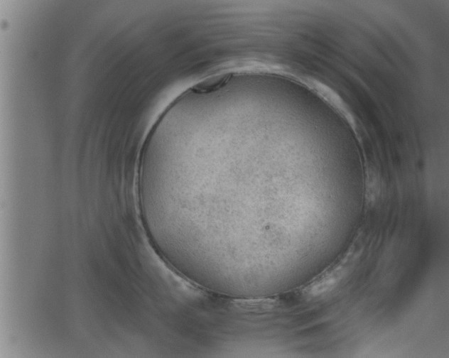 X0000062870863200601171420