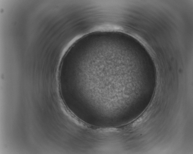 X0000062870864200601171420