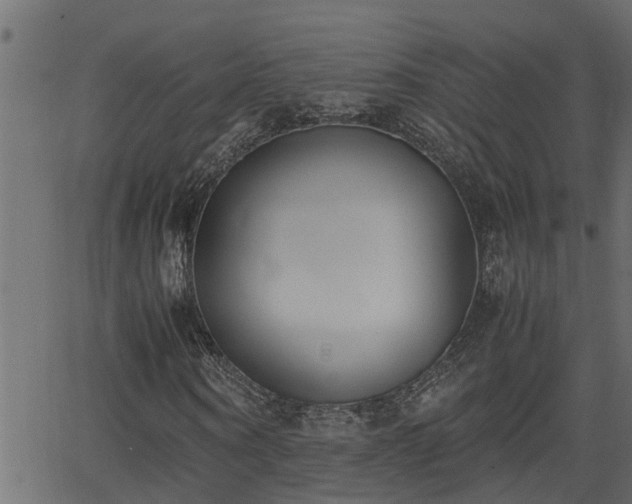 X0000062870866200601171419