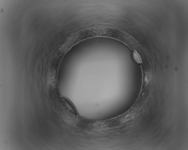 X0000062870867200601171419