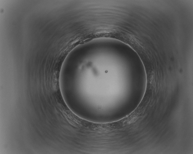 X0000062870868200601171419