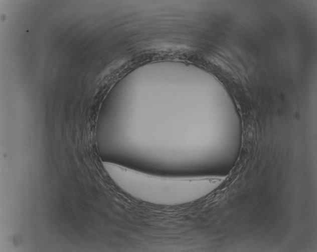 X0000062870869200601171419