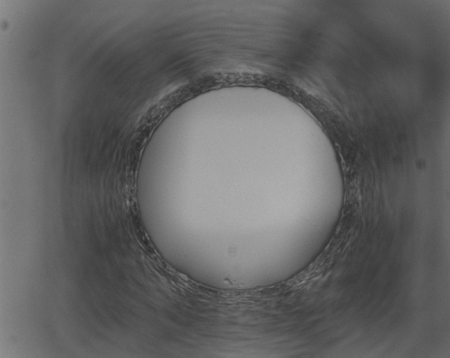 X0000062870870200601171419