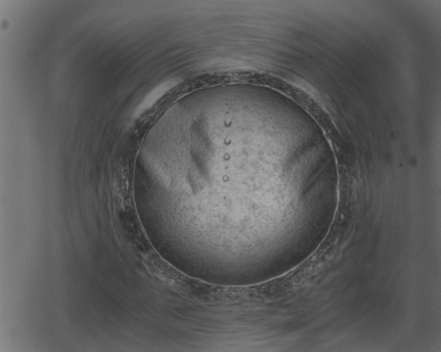 X0000062870871200601171419