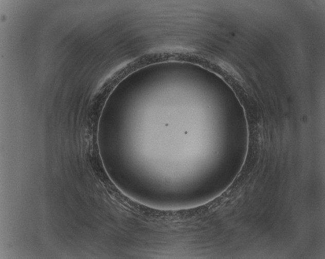 X0000062870872200601171419