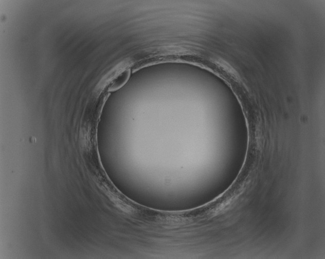 X0000062870873200601171419