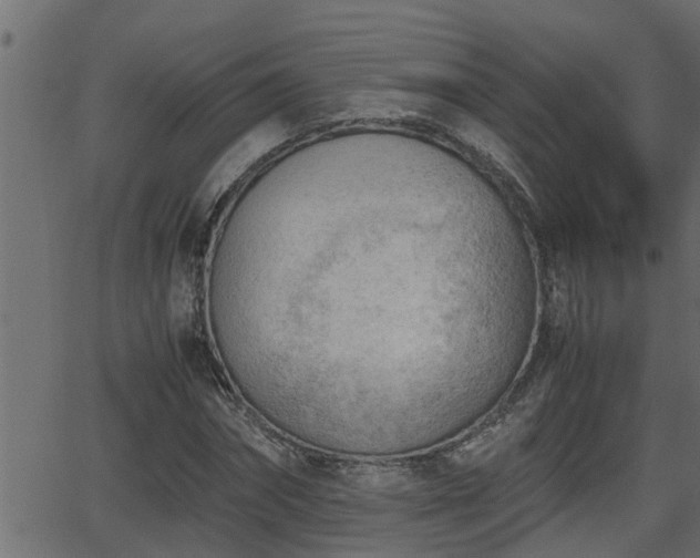 X0000062870874200601171418