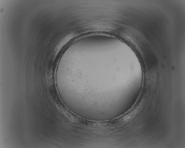 X0000062870875200601171418