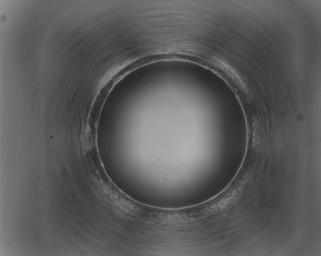 X0000062870876200601171418