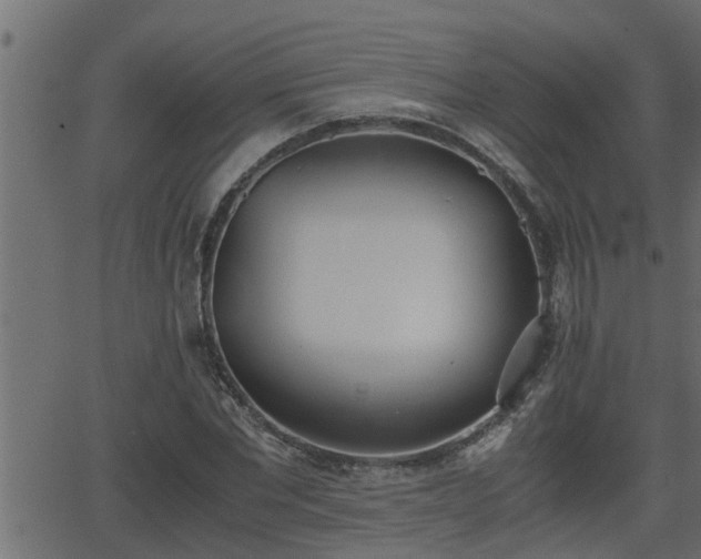 X0000062870877200601171418