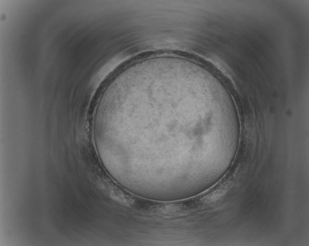 X0000062870879200601171418