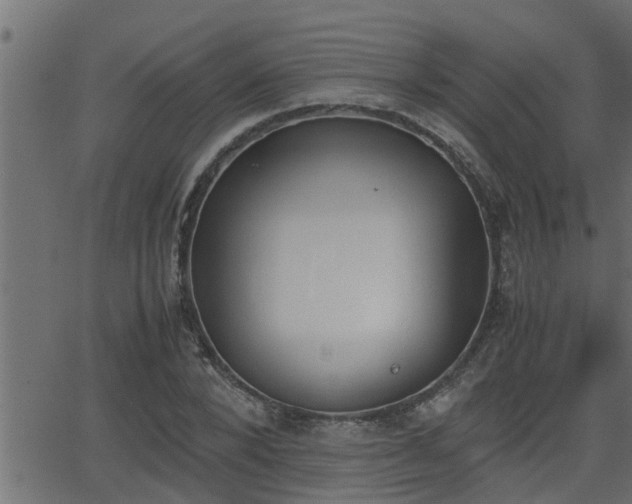 X0000062870880200601171418