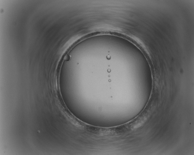 X0000062870887200601171418