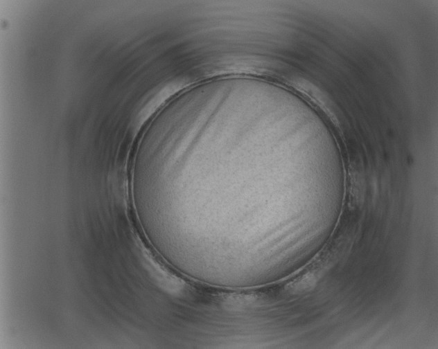 X0000062870890200601171418