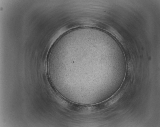 X0000062870891200601171418